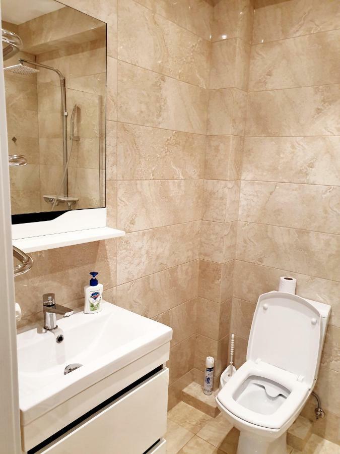 Center On Albisoara Street Apartment Chisinau
